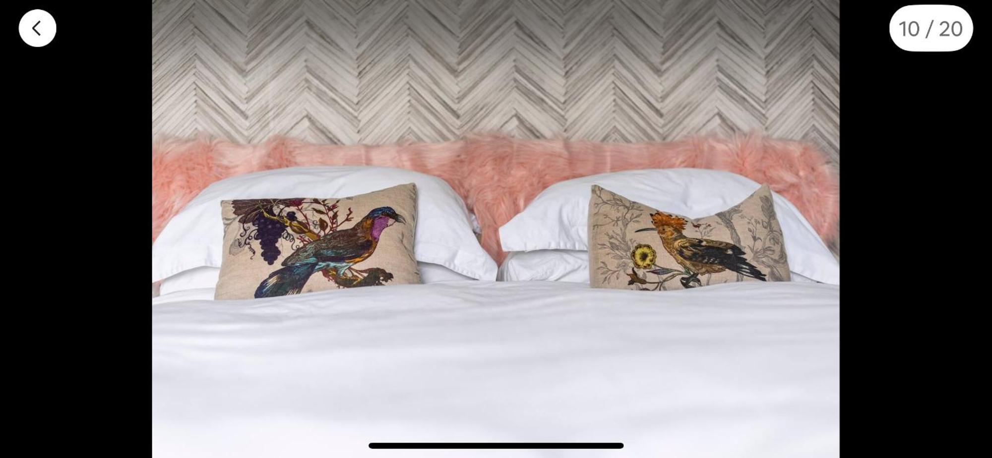 Attractive Comfortable Room In Friendly House Hastings Bagian luar foto